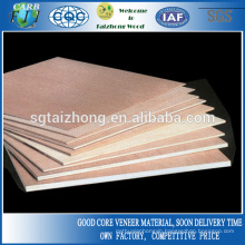 Cheap Ordinary Grade Plywood Door Price